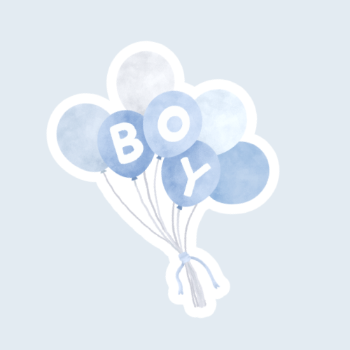 Boy Mom Sticker Sheet