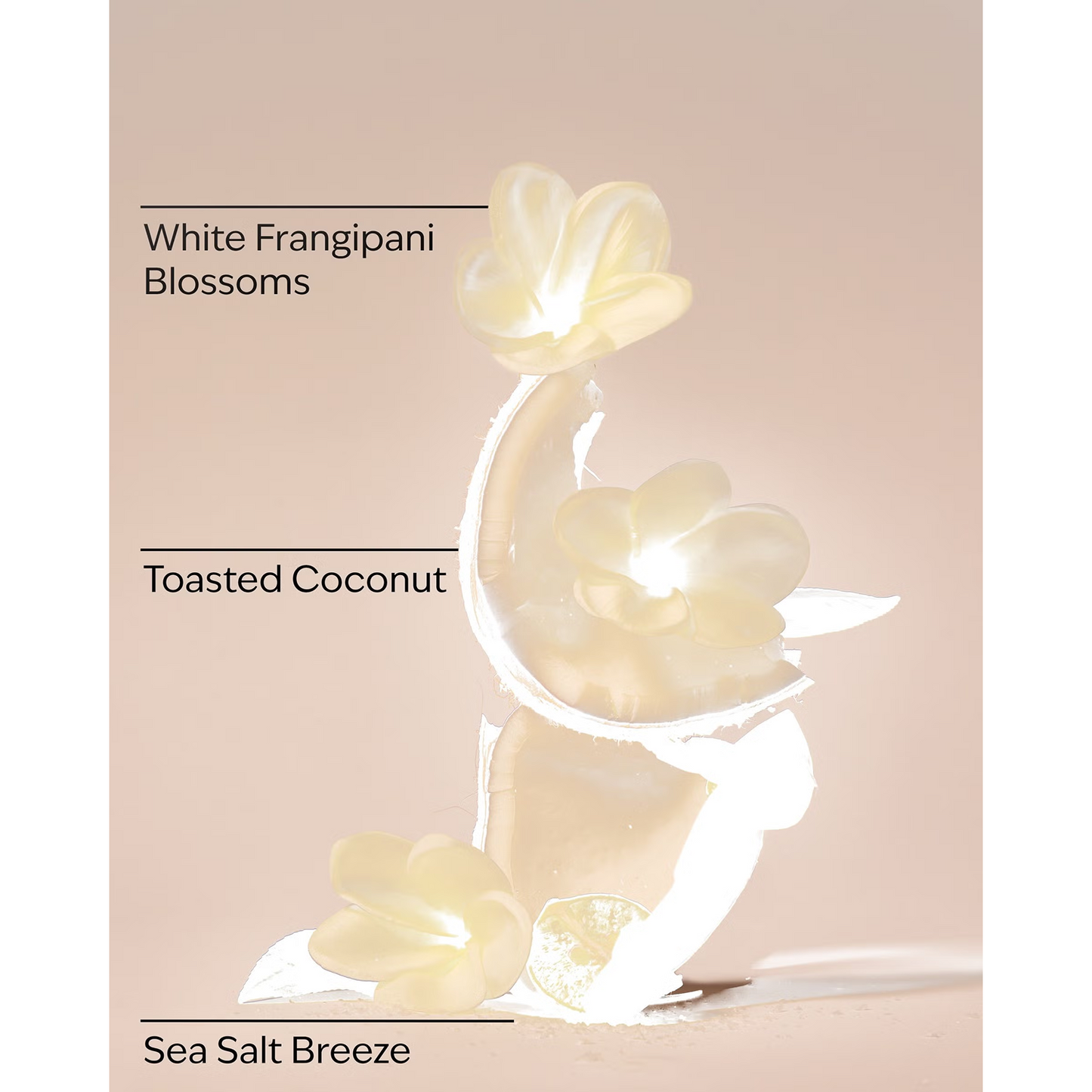 At The Beach Daily Nourishing Body Lotion