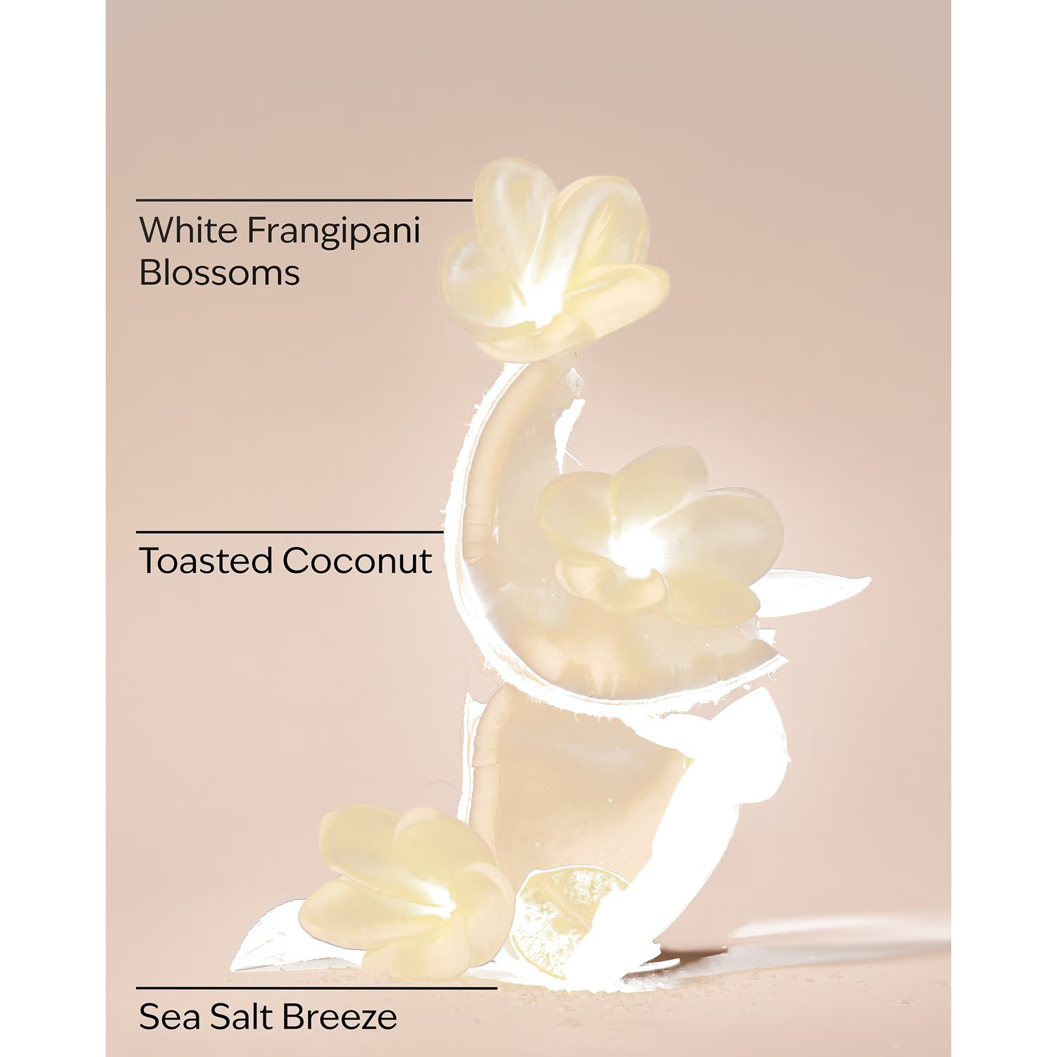 At The Beach Daily Nourishing Body Lotion