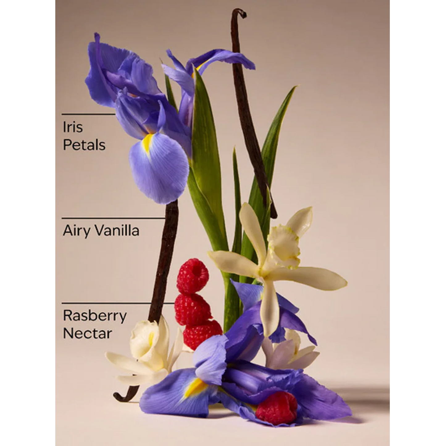 Butterfly Fine Fragrance Mist