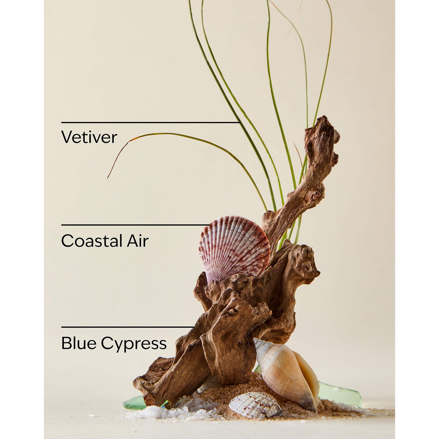 Ocean Mini Gift Set