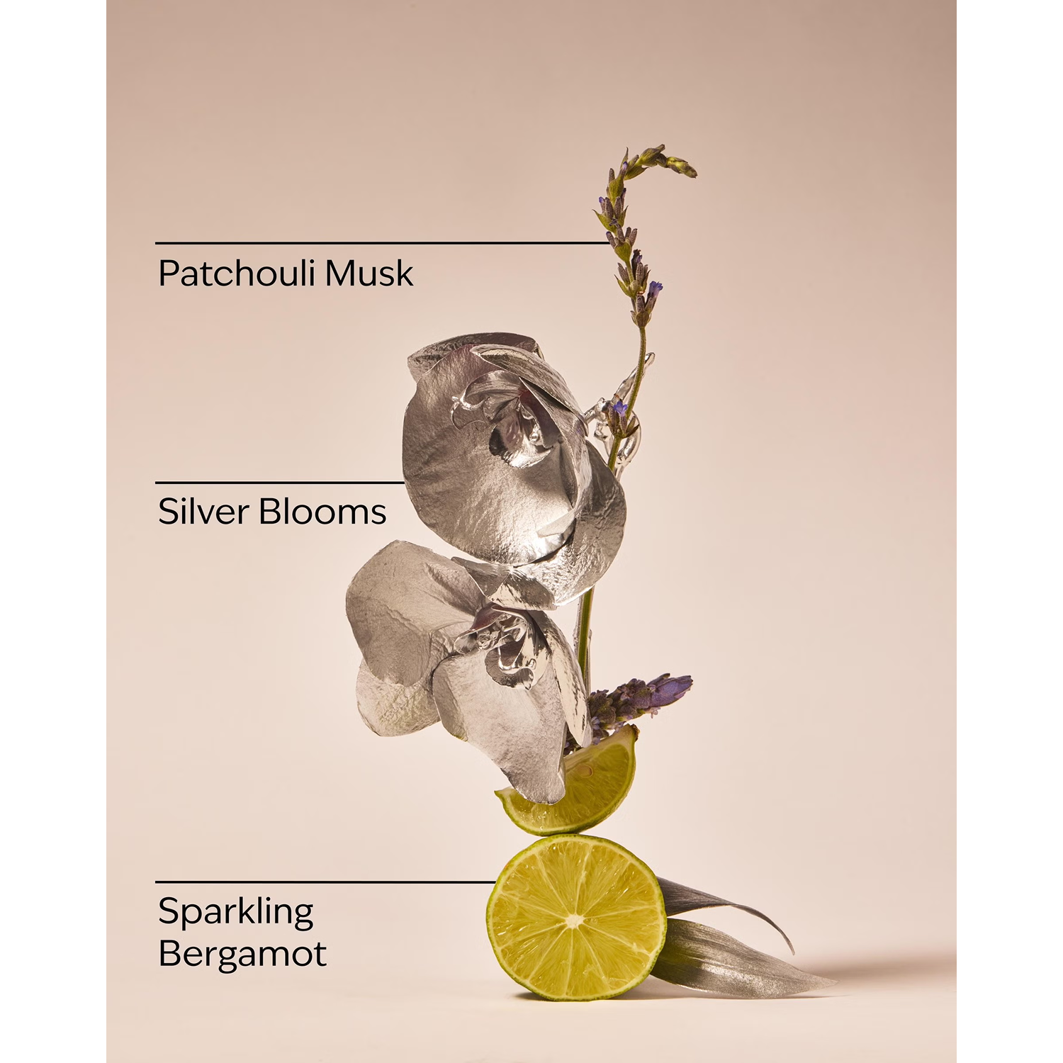 Platinum Fine Fragrance Mist