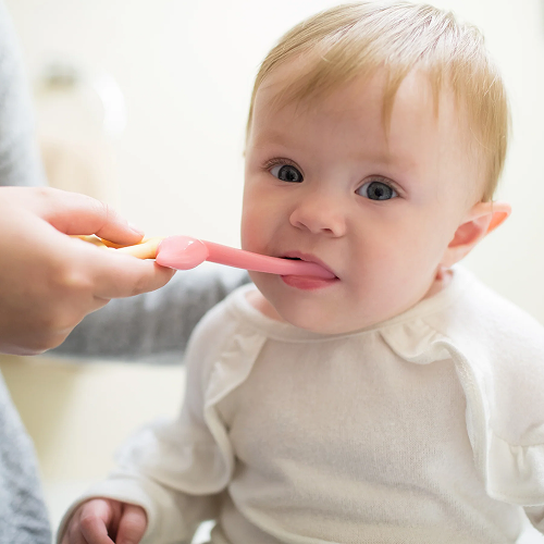 Toddler Toothbrush, Flamingo
