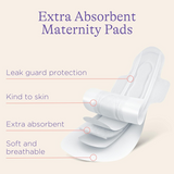 Lansinoh Maternity Pads, 0-2 Weeks Post-Birth, Pack of 10